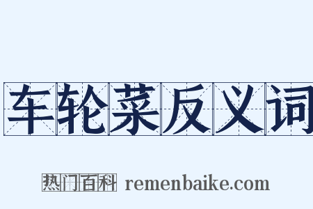 车轮菜反义词是什么意思的图片